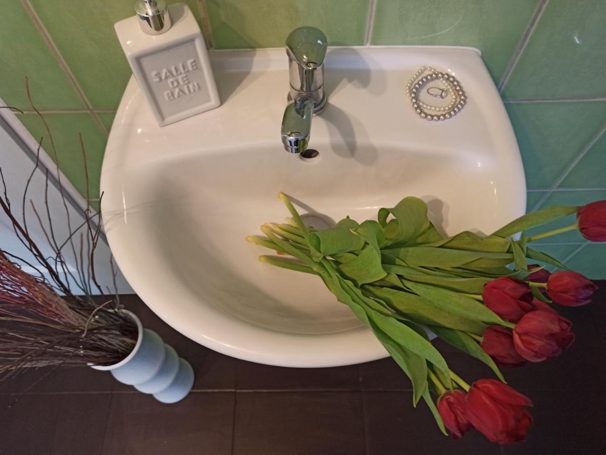 Apartmany Ziakova - Ubytovani Nove Hrady 111 Kültér fotó