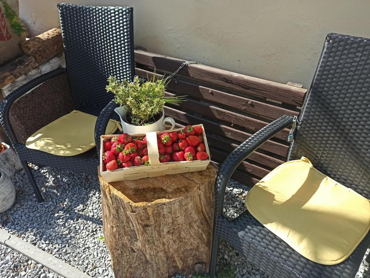 Apartmany Ziakova - Ubytovani Nove Hrady 111 Kültér fotó