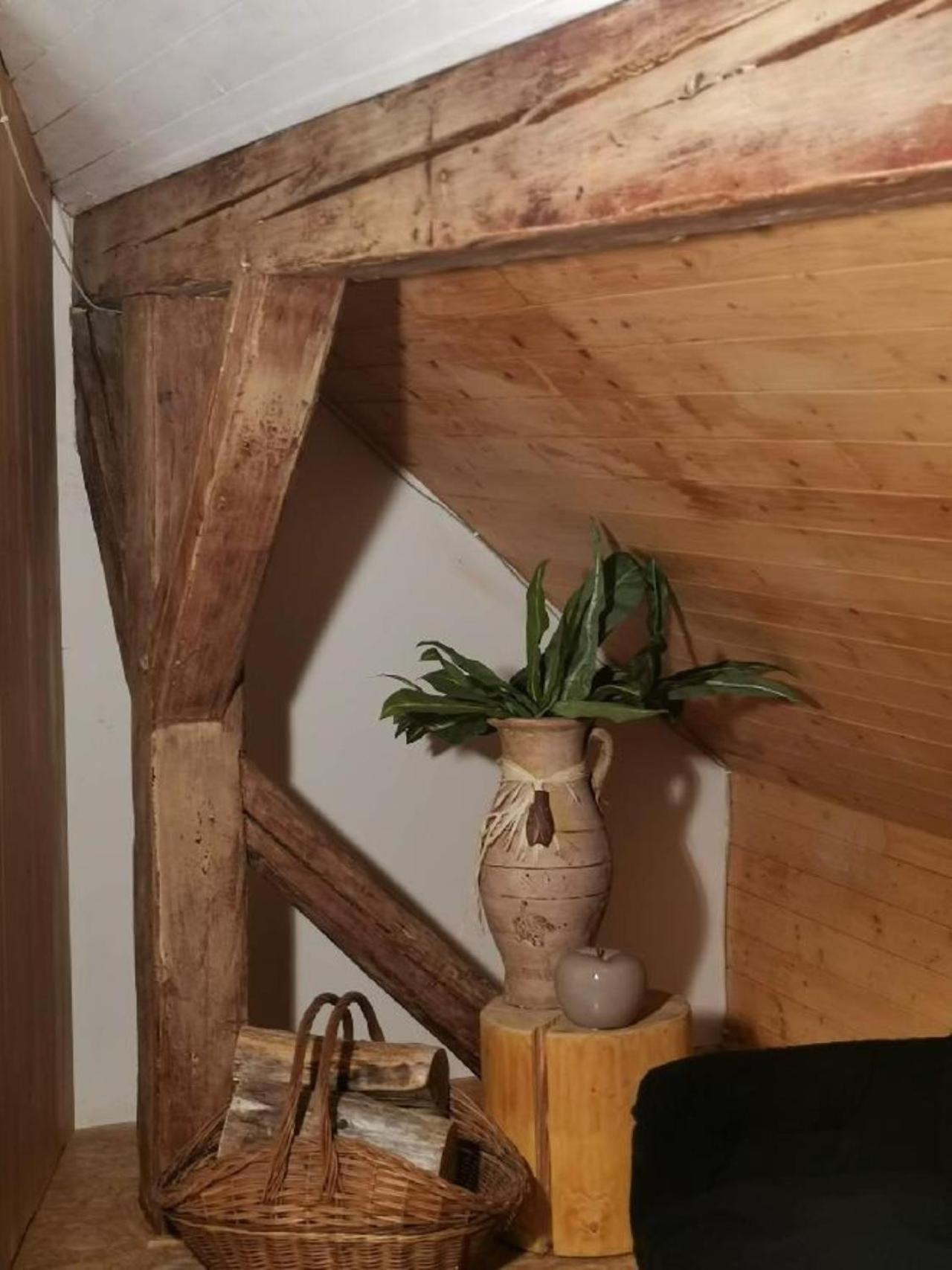 Apartmany Ziakova - Ubytovani Nove Hrady 111 Kültér fotó