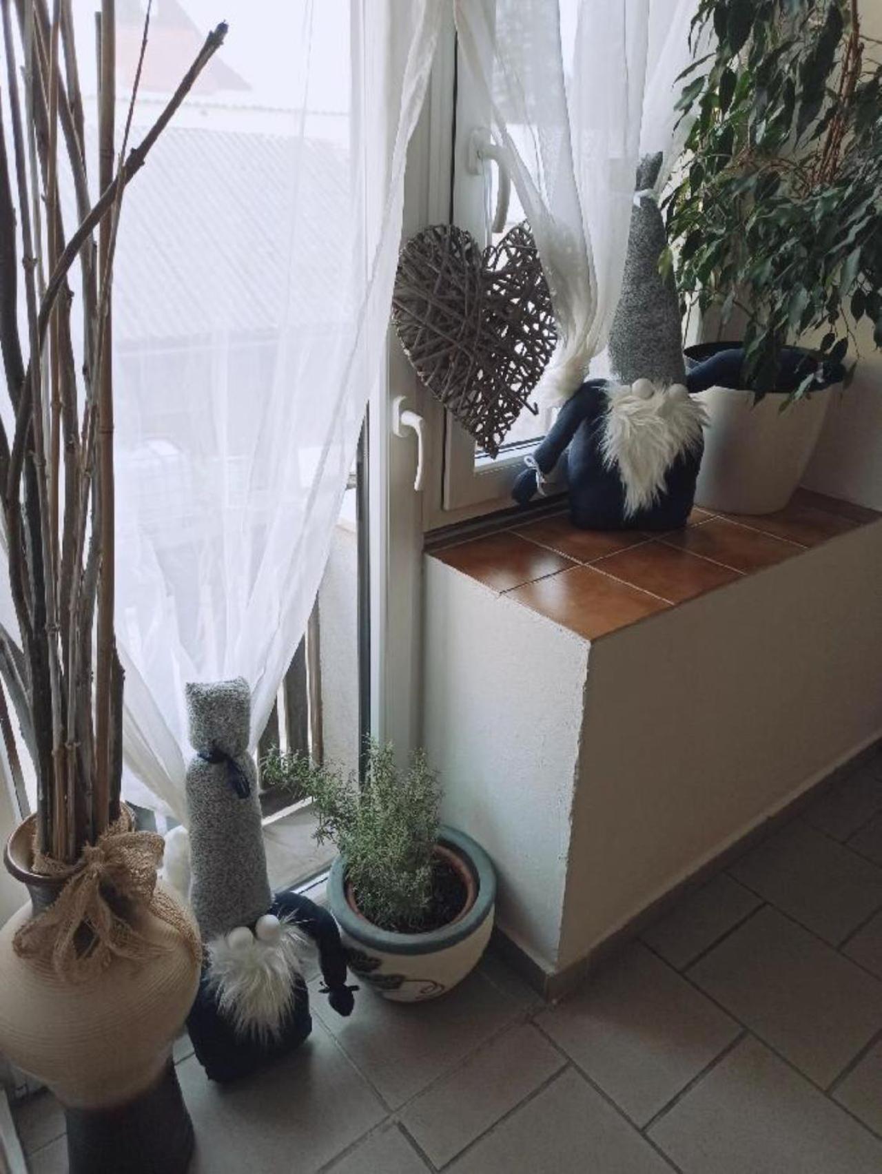 Apartmany Ziakova - Ubytovani Nove Hrady 111 Kültér fotó